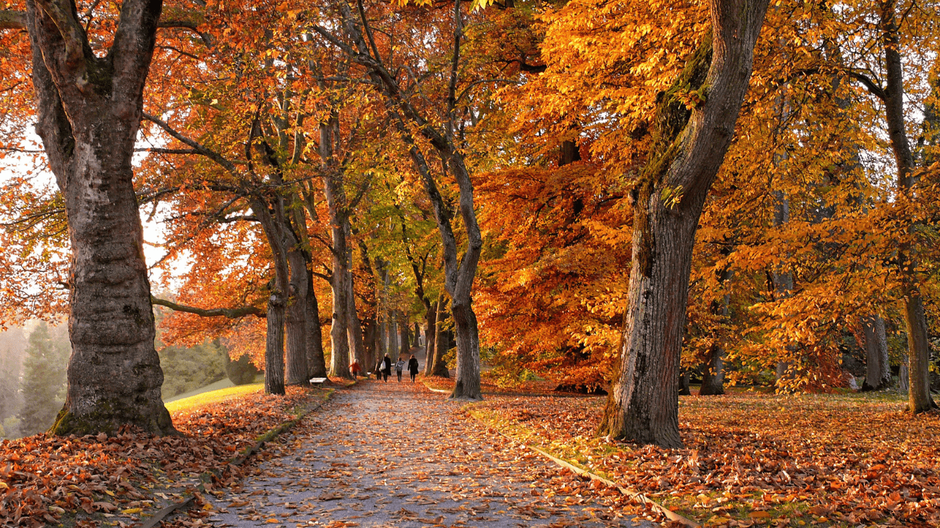 fall weather